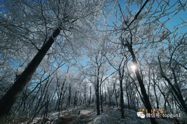 原來江南也有如此夢幻霧凇 原來江南也有如此夢幻霧凇