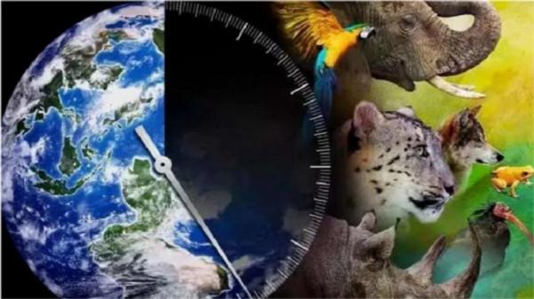科學家：“第六次物種大滅絕”或已悄然而至！出現了哪些警示？