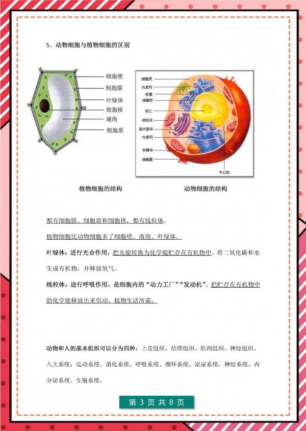 請家長列印：七年級上冊生物 期末考點+思維導圖+ 答案模板