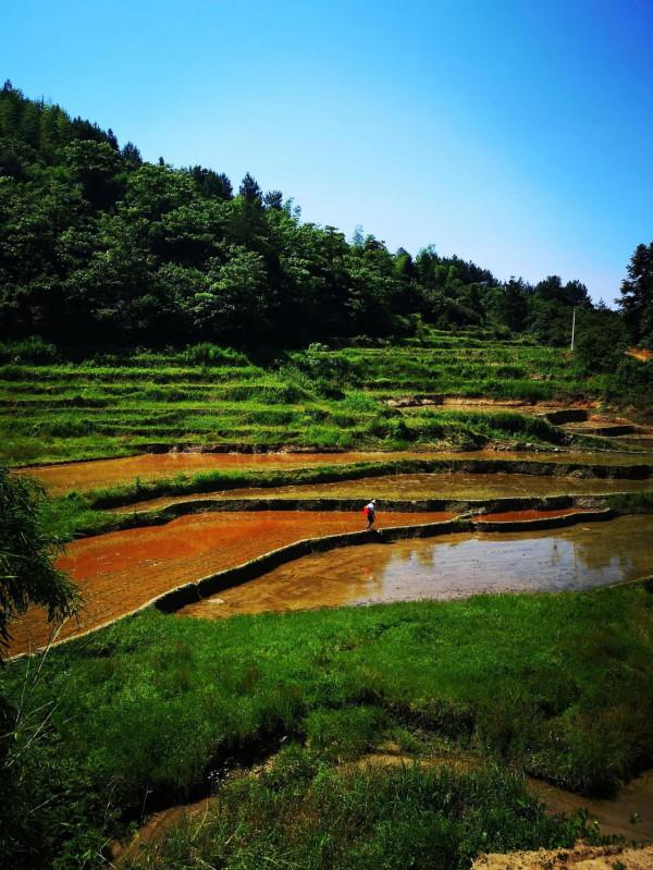 陳寅恪故里的風景(2021/06/05-07) 陳寅恪故里的風景(2021/06/05-07)