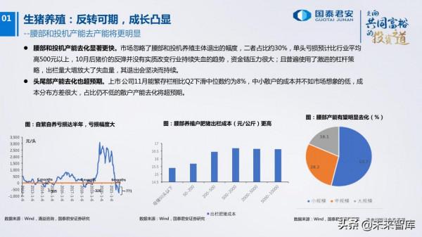農業研究及2022年投資策略:柳暗花明 農業研究及2022年投資策略:柳暗花明