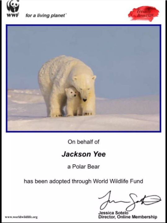 明星的粉絲有多豪？這7個粉絲告訴你，有錢就是可以為所欲為