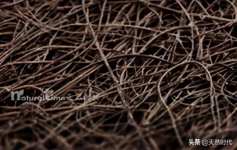 NT22無簧床墊,盡享雅緻之美 NT22無簧床墊,盡享雅緻之美