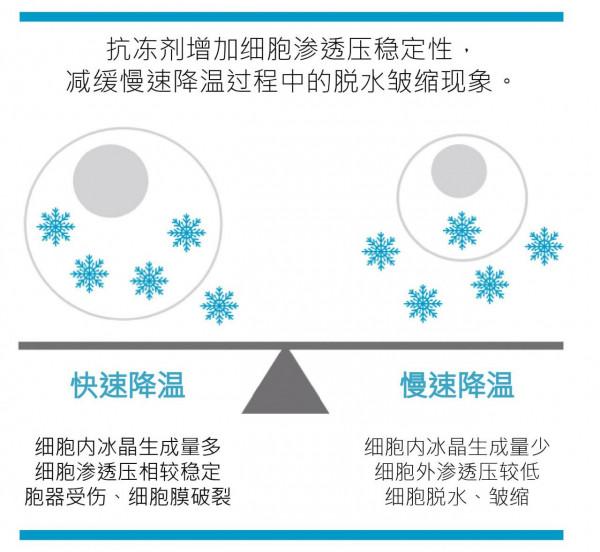 已經2.4萬歲，北極輪蟲重新整理生命上限，解凍後甚至還能自我克隆