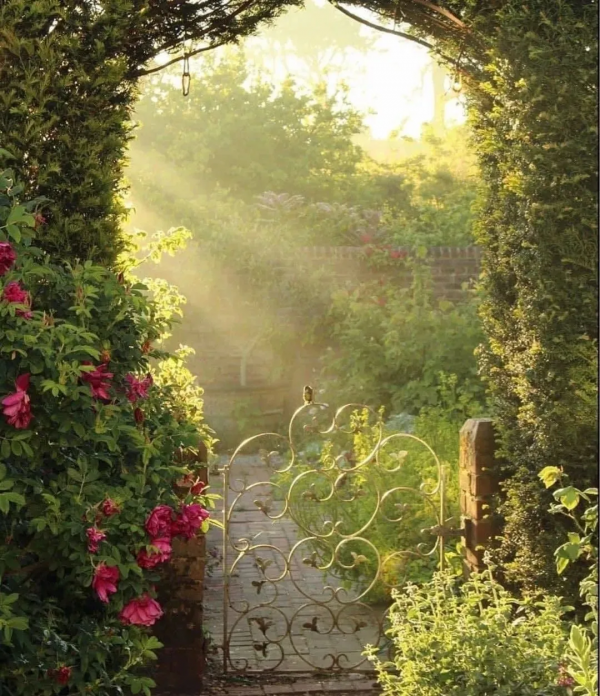 細節決定成敗,種花這件事你得知道 細節決定成敗,種花這件事你得知道