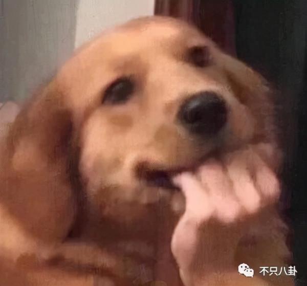 紀凌塵和闞清子分手三年了，他有新戀情後還是要捱罵？