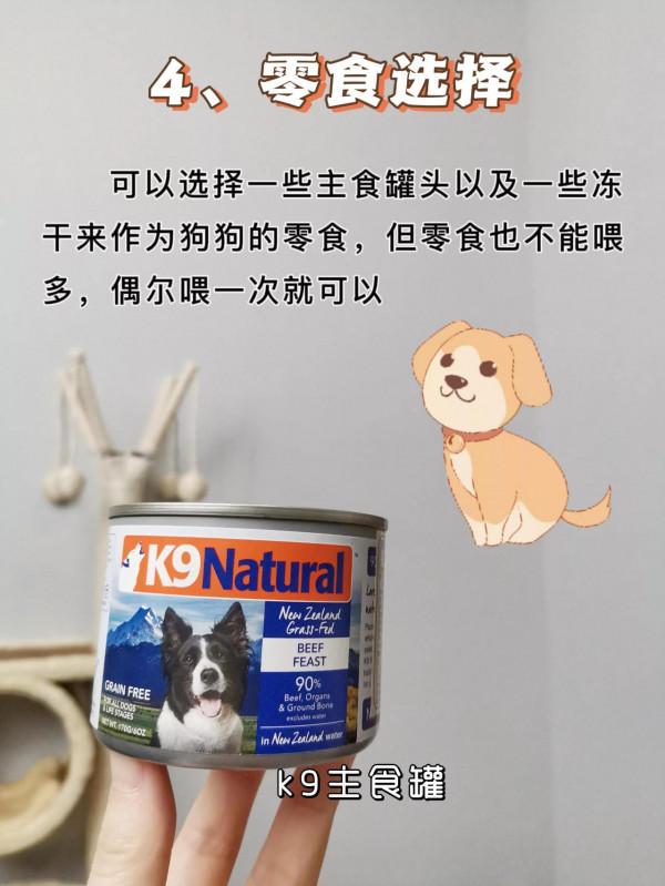 你還在這樣養狗！小心丟了狗命