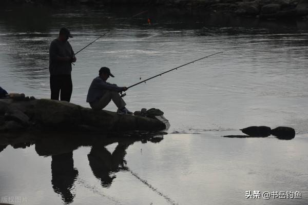 魚池老闆嫌棄捕魚太累，結果放開垂釣數日後！釣友：這可不能賴我