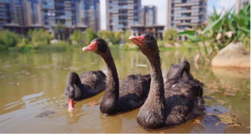 板式房“沉浸式開箱”當你擁有一個不忍曬衣服的超大陽臺是一種什麼體驗 板式房“沉浸式開箱”當你擁有一個不忍曬衣服的超大陽臺是一種什麼體驗
