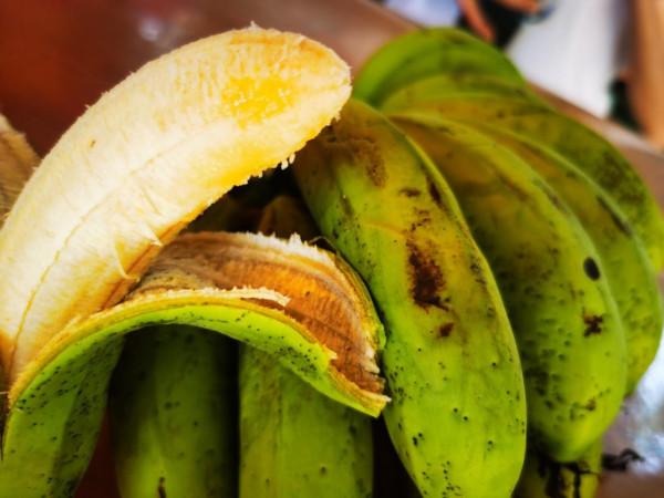 姐妹們的北海之旅