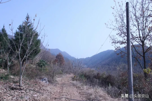 探訪京山楊集磨棋觀