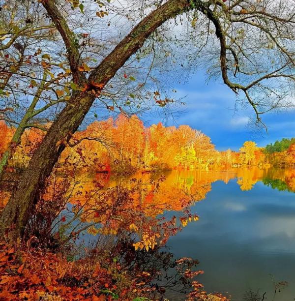 「詩詞鑑賞」十五首野望的詩詞，一起野望，開啟一場深秋的邂逅