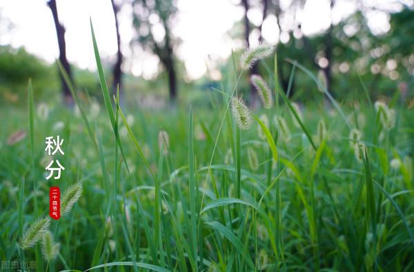白露逢八月初一,秋分一定會遇到八月十五嗎?不一定,今年就不是 白露逢八月初一,秋分一定會遇到八月十五嗎?不一定,今年就不是