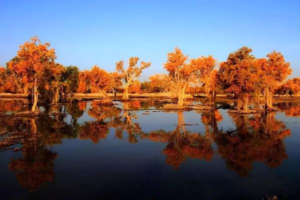 醉美中國，在秋天