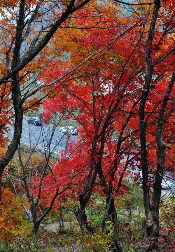 今年最想去的24條線路,與國內最極致的風光邂逅,你都去過幾條? 今年最想去的24條線路,與國內最極致的風光邂逅,你都去過幾條?