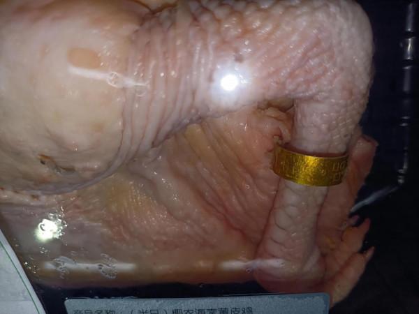 這雞都有金戒指戴了,我們人類還有什麼理由不去努力 這雞都有金戒指戴了,我們人類還有什麼理由不去努力