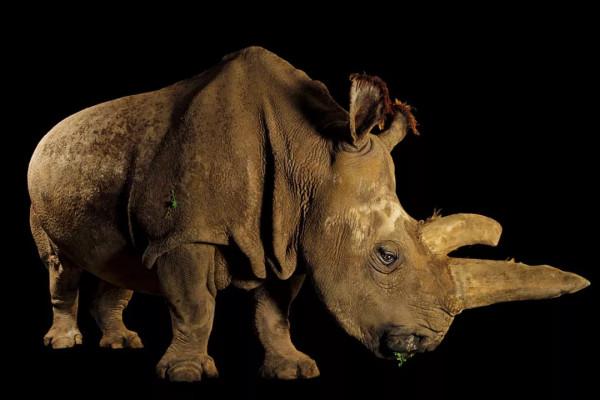 2022《國家地理》日曆,世界之美,近在眼前丨種草機 2022《國家地理》日曆,世界之美,近在眼前丨種草機