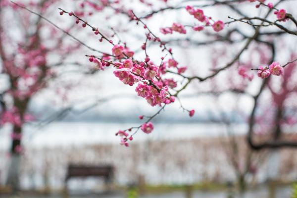 杭州最適合“窮遊”的10個景區，好玩還免費，趕緊收藏起來吧