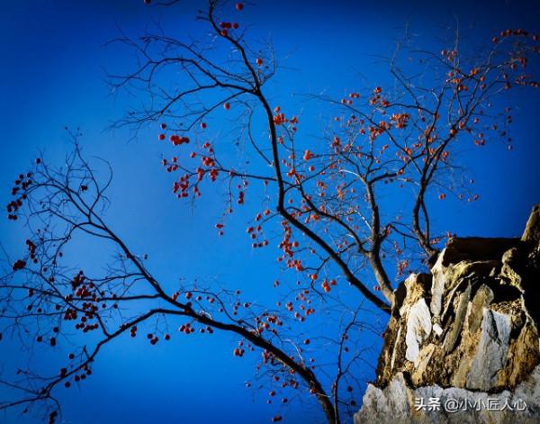 有父母的地方就是家 有父母的地方就是家