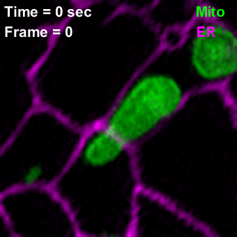 李棟：10年抵達0.00000006米，解析度並非唯一答案