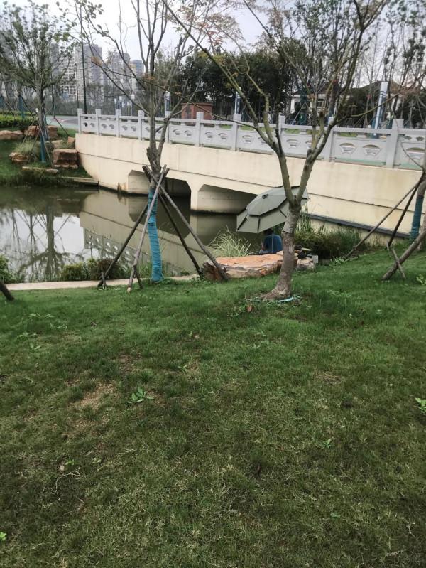 今天天氣好 今天天氣好