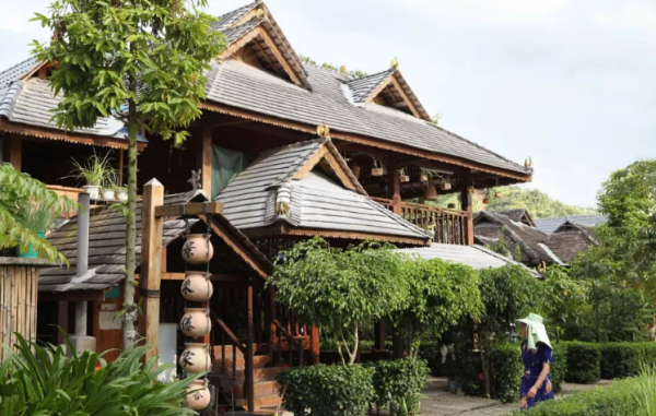 西雙版納該怎麼辦