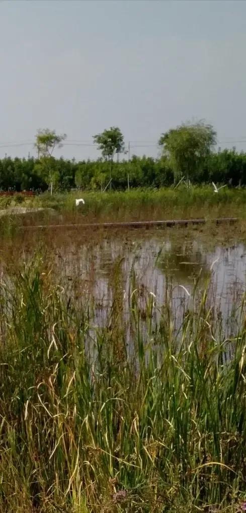 養老生活這樣過，彷彿又回到了童年的歡樂時光之四，旅行