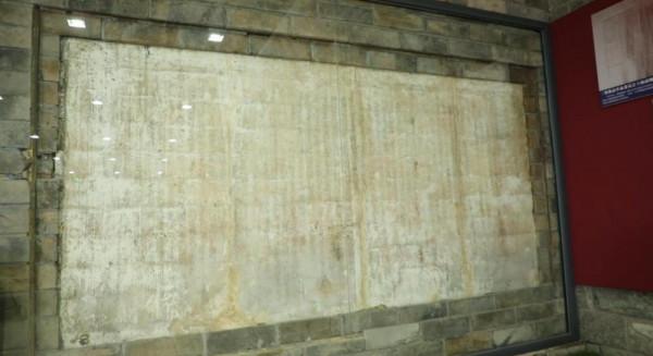 了不起的它們 | 一面有秘密的牆