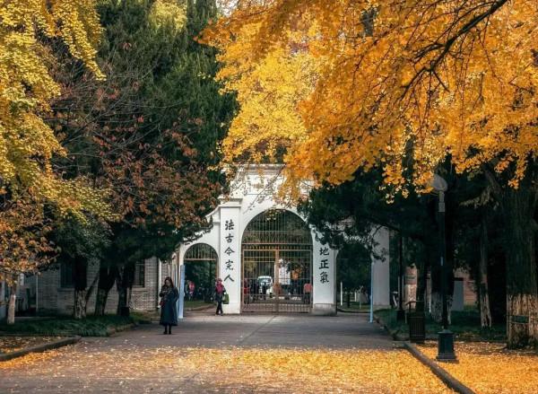 千萬別與秋天的姑蘇比美!楓葉漫山,銀杏紛飛,一步一景美成了詩 千萬別與秋天的姑蘇比美!楓葉漫山,銀杏紛飛,一步一景美成了詩