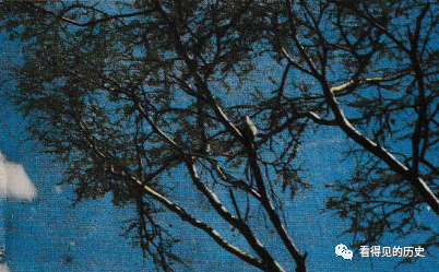 老照片 七十年代的非洲肯亞 非洲第一個野生動物園