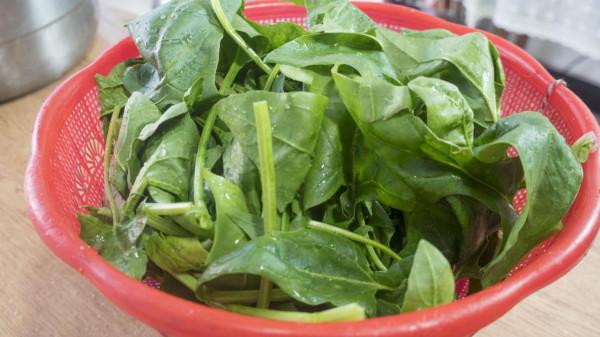 立春後，早餐推薦吃這7款，補血補氣易消化，做法簡單營養好吃