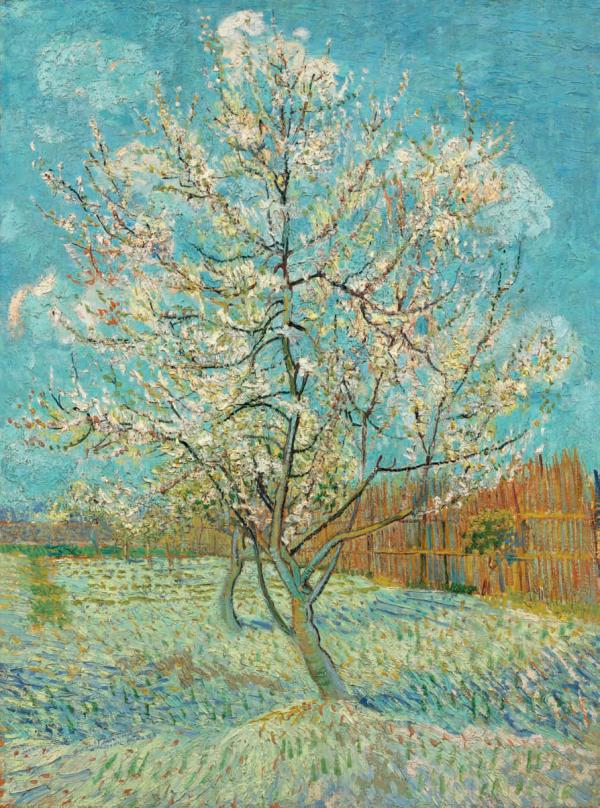 “梵高：一半瘋子，一半天才”：畫到瘋狂之時，揮刀割下耳朵