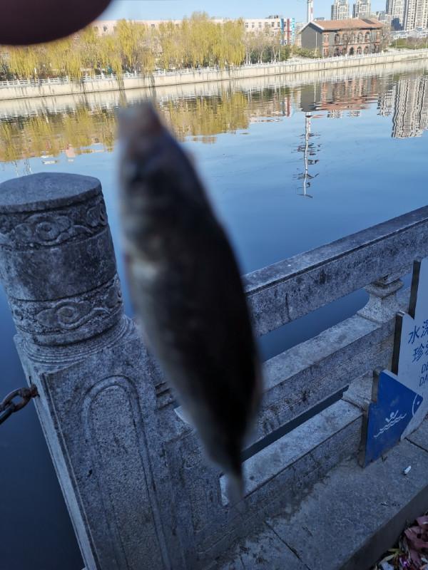 靈活多變才是漁獲的關鍵，大師的制勝法寶得好好學