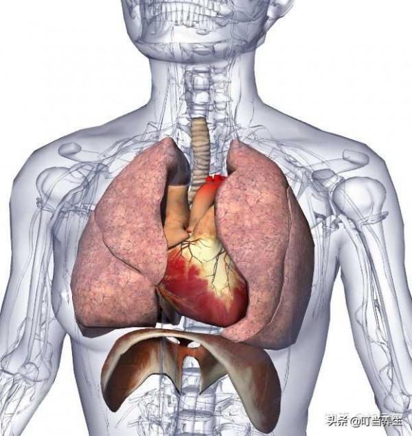 您的心臟怎麼樣？中醫陪你瞭解自己的心臟