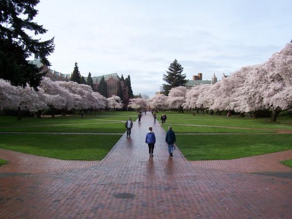 讀博士4年，談3場戀愛，結兩次婚，這個男人很靠譜