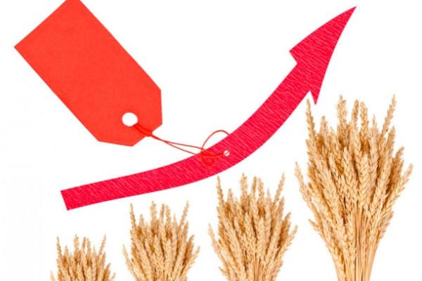 小麥，直衝1.40，全國漲價粉廠名單