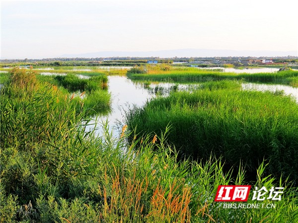 新疆地廣人稀,生活滋潤,有水的地方賽過江南 新疆地廣人稀,生活滋潤,有水的地方賽過江南
