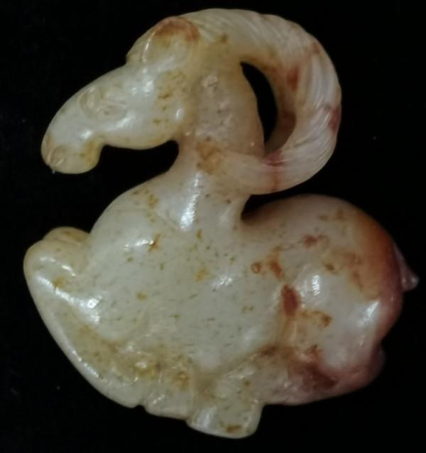 一隻紅沁大角羊