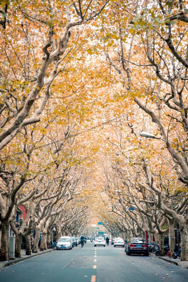 中國最美的50個地方,我竟然只去過10個,你呢? 中國最美的50個地方,我竟然只去過10個,你呢?