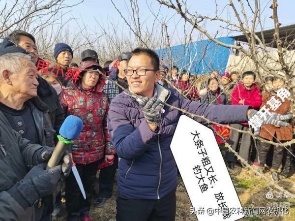 冬季修剪花椒樹，要想高產先修路