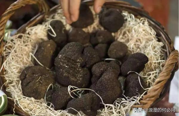 雲南16個地州的特產,讓雲南的16個地州都有了自己的特色菜 雲南16個地州的特產,讓雲南的16個地州都有了自己的特色菜