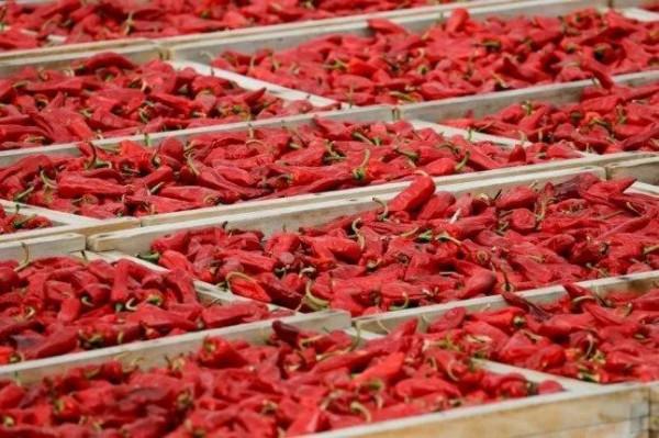 快拿起日曆把這些2022年法國節日和活動通通標記上 快拿起日曆把這些2022年法國節日和活動通通標記上