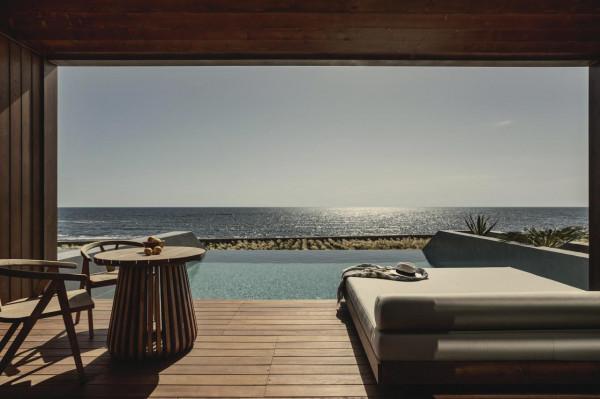 一個鬱鬱蔥蔥的迷迭香和薰衣草花園 一個鬱鬱蔥蔥的迷迭香和薰衣草花園