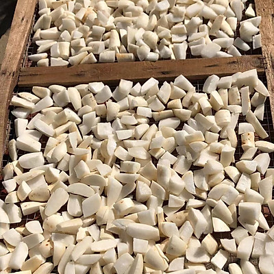 簡單省事懶人菜自制鹽蘿蔔乾,一次就上癮 簡單省事懶人菜自制鹽蘿蔔乾,一次就上癮