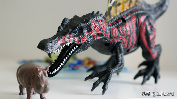 恐龍曾經“是”河馬?這6個動物冷知識你知道嗎? 恐龍曾經“是”河馬?這6個動物冷知識你知道嗎?