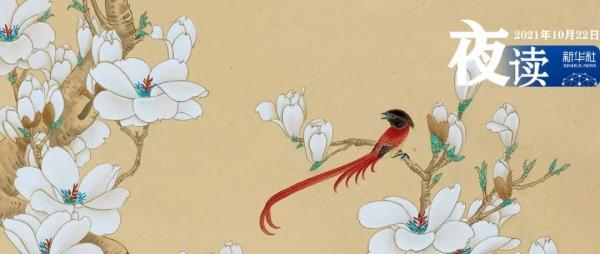 夜讀 | 學會欣賞別人,你會更優秀 夜讀 | 學會欣賞別人,你會更優秀