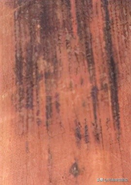 如何辨識明代傢俱木材新解全集(傢俱14) 如何辨識明代傢俱木材新解全集(傢俱14)