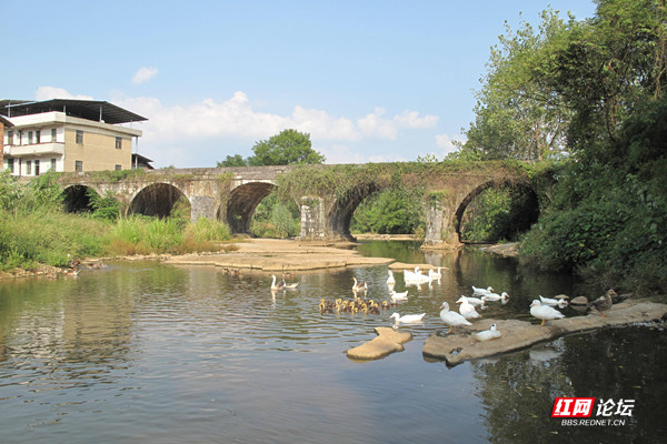 郴州境內竟藏著一座湖南最早的橋，背後的神秘傳說讓人好奇