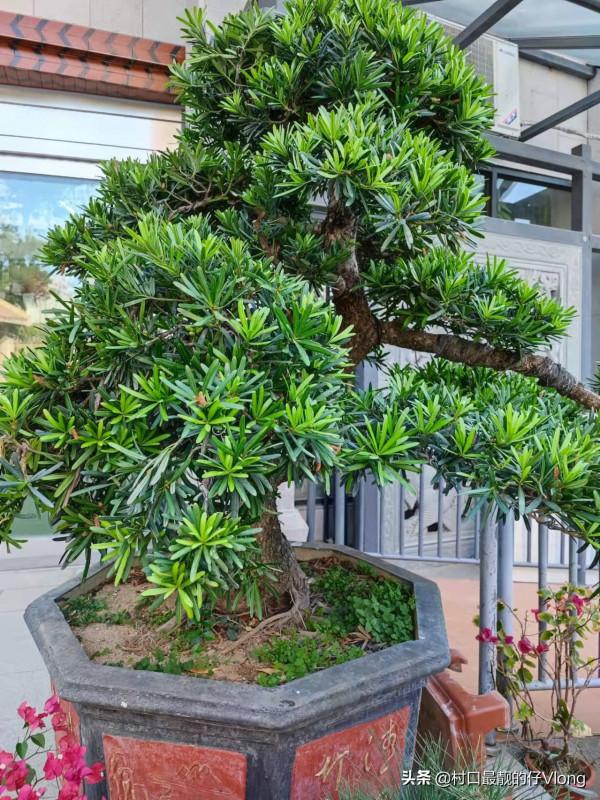 年底明星集中“暴雷”,對我們普通人的意義是什麼? 年底明星集中“暴雷”,對我們普通人的意義是什麼?