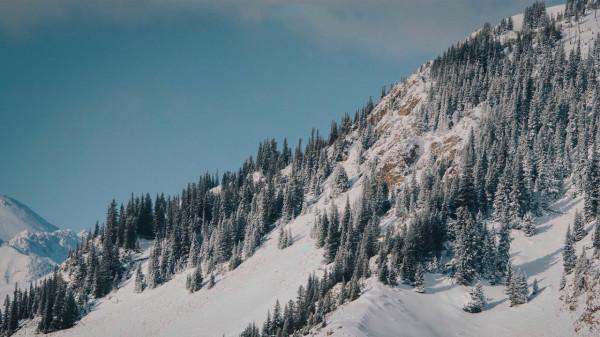 賽里木湖優美迷人自然風光 賽里木湖優美迷人自然風光